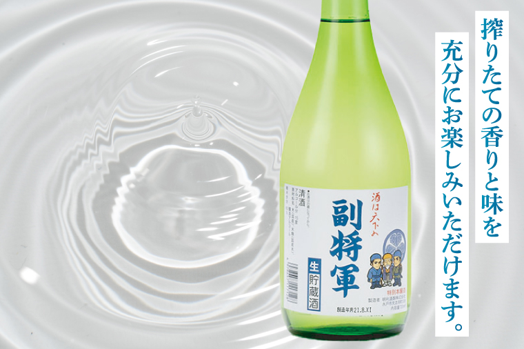『副将軍』特別本醸造生貯蔵酒 720ml×６本セット【日本酒 お酒 酒 水戸市 茨城県】（DW-137）