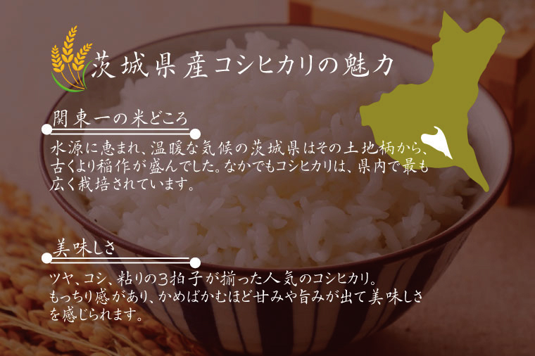 令和7年産 茨城県水戸市常澄産コシヒカリ みと米2㎏【こしひかり お米 米 水戸市 茨城県】（EX-5）