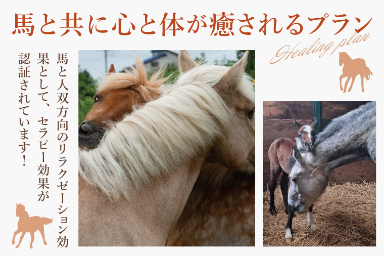 厩務員チャレンジコース（240分）【乗馬 馬 体験 水戸市 茨城県】（EY-2）