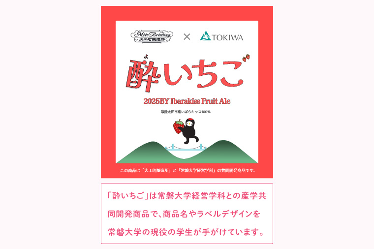【数量限定】【ぬりや】クラフトビール　酔いちご（2025BY）330ml3本セット【ビール お酒 アルコール 苺 いちご いばらキッス 麦芽 ホップ 常磐大学 水戸市 茨城県】(GW-13)