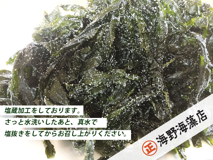 しゃきしゃき湯通し塩蔵わかめ1.2kg 国産 三陸産 湯通し不要 大洗【共通返礼品/大洗町】【ワカメ 免疫力  腸内細菌 ミネラル 海藻 味噌汁 スープ】（HC-7）