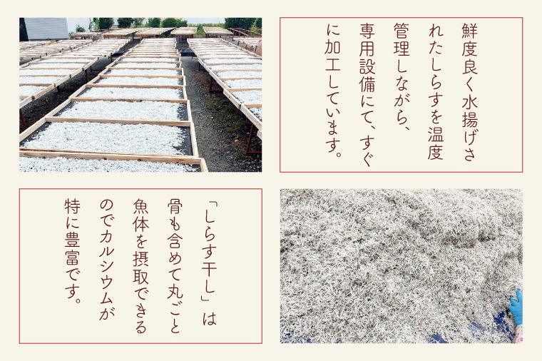 しらす干し 天日乾燥800g（400g×2）【茨城県共通返礼品/北茨城市】【シラス 水揚げ カルシウム 魚 10000円以内 1万円以内】  (HY-11)
