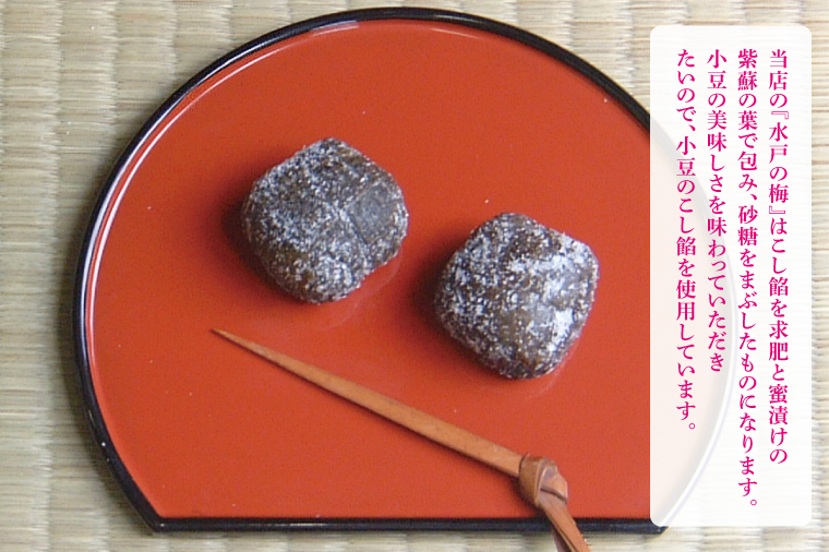 【木村屋本店】水戸銘菓 水戸の梅 15個入り 160年以上愛される老舗和菓子店【和菓子 お菓子 スイーツ デザート あんこ こし餡 求肥 お土産 老舗 水戸市 茨城県 】（JR-2）