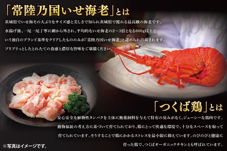 2026年【先行予約】ホテルテラスザガーデン水戸 千壽 和二段重（３～4人前）30㎝×20㎝	【おせち おせち料理 お正月 正月 冷蔵配送 常陸乃国いせえび 伊勢海老 伊勢えび 常陸牛 ローズポーク つくば鶏 水戸市 茨城県】（JY-2）