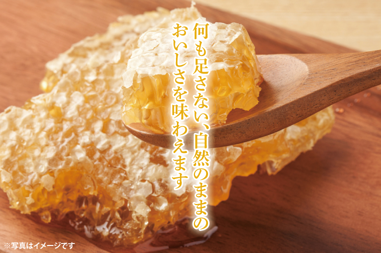 【先行予約】日本ミツバチの国産天然はちみつ 360g（180g×2本）【希少 数量限定 期間限定 ハチミツ 蜂蜜 国産ハチミツ 非加熱 天然 水戸市 茨城県】(KH-2)