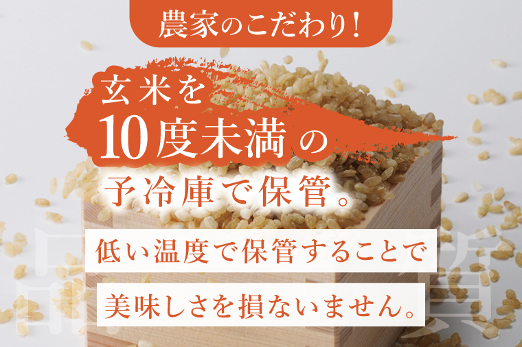 【11月下旬より発送】【数量限定】【家計応援】令和7年度産 新米 農家直送 コシヒカリ 10kg【米 こしひかり ごはん おにぎり 水戸市 水戸 茨城県 】(KV-6)