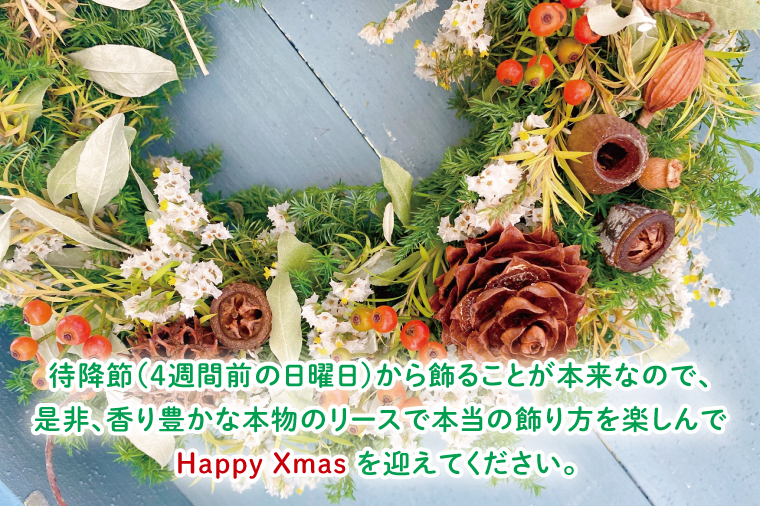 【11月下旬以降発送・数量限定】常緑樹の香りあふれるクリスマスリース（限定品）【インテリア おしゃれ 壁飾り プレゼント お花 ギフト ナチュラル クリスマス リース 水戸市 水戸 茨城県 10000円以内 1万円以内】（KW-3）