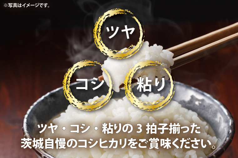 令和7年産無洗米茨城コシヒカリ5㎏×2【新米 無洗米 お米 こめ 米 こしひかり 茨城県 茨城県産 】（LL-6）