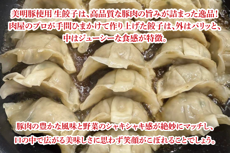 【数量限定】肉屋が作る美明豚生餃子24個入 3パック【ブランド豚 国産 焼き餃子 冷凍 ぎょうざ ギョーザ 冷凍餃子 簡単調理 惣菜 おかず 水戸市 水戸 茨城県】（MJ-6）