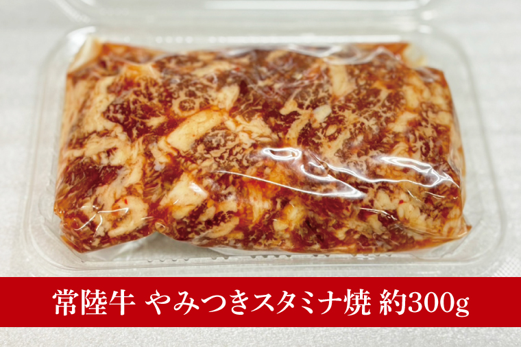 【数量限定】たっぷり大満足！牛肉＆豚肉バラエティセット【常陸牛 美明豚 黒毛和牛 牛肉 ブランド豚 ジューシー パーティー 茨城県 水戸市】（MJ-8）