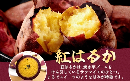 スイートポテトクッキー 10個入 1箱【紅はるか さつまいも  和 スイーツ デザート お菓子 おやつ 老舗 和菓子店 お取り寄せ ギフト お土産 手土産 贈答用 亀印製菓 茨城県 水戸市】（MP-32）