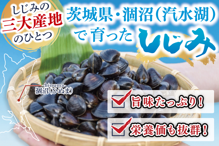 【全6回隔月定期便】茨城県涸沼川産 だしの濃さに違いが出る！手掘しじみ（砂抜き）500g×２個（1kg）【涸沼川 シジミ オルニチン 味噌汁 スープ 茨城県 水戸市】（MS-11）