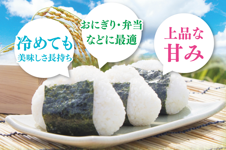 【数量限定】【令和7年産】【３ヵ月定期便】美味追求 茨城県産こしひかり 5kg×3 【定期便 お米 ごはん こしひかり 精米 おにぎり ごはん 茨城県 水戸市 15キロ】(NA-2)