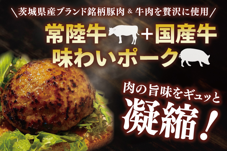 リトルリンダの冷凍ハンバーグ5種類入り(200g×5)ギフトボックス【常陸牛 国産牛 味わいポーク 時短 簡単料理 水戸市 茨城県】(NC-1)