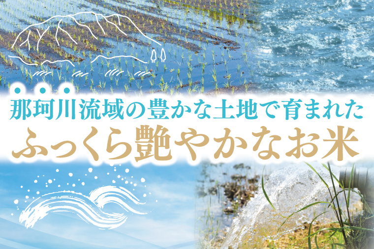 【数量限定】【令和7年産新米】水戸産コシヒカリ10㎏ 精米【お米 ごはん コシヒカリ おにぎり ごはん 茨城県 水戸市】(NP-4)
