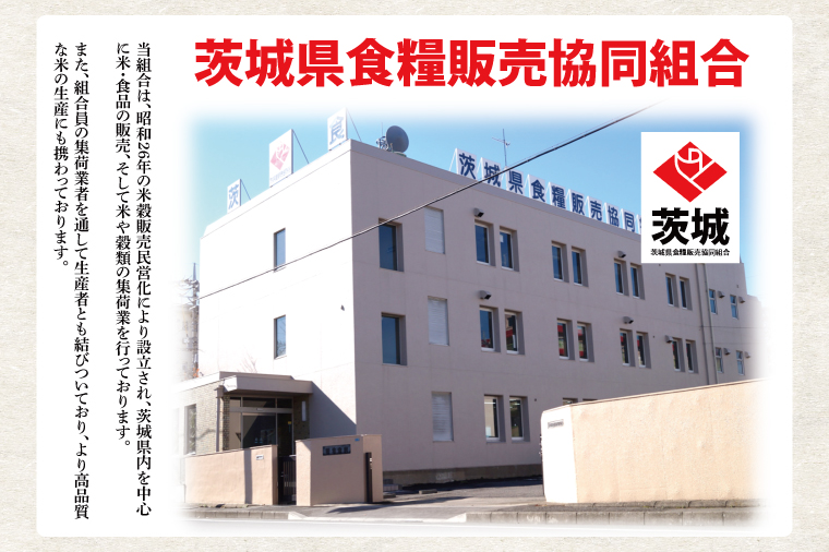 【数量限定】【令和7年産】茨城県産コシヒカリ 10kg(5kg×2袋) 【お米 ごはん こしひかり  おにぎり ごはん 茨城県 水戸市】(NQ-2)