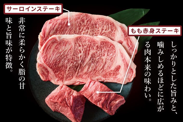 常陸牛2種ステーキ　(サーロインステーキ400g、赤身ステーキ400g)【常陸牛 国産牛 和牛 牛肉 ステーキ ジューシー  茨城県 水戸市】（NW-11）