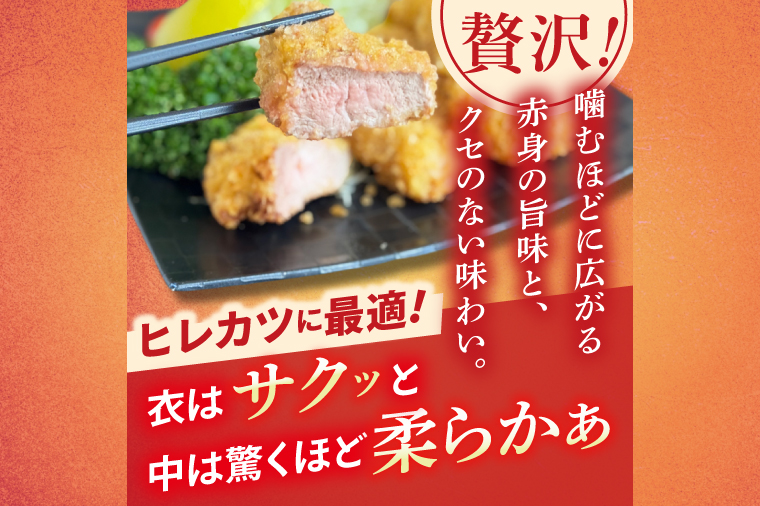常陸の輝き　ヒレ肉　(1kg)【豚肉 ブランド豚 薄切り 銘柄豚  茨城県 水戸市】（NW-17）