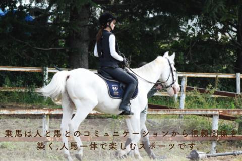 ホースセラピー・癒しコース（120分）【乗馬 馬 ポニー サラブレッド ブラッシング リラクゼーション 水戸市 茨城県】（EY-1）
