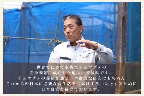 【12月より発送】【数量限定】国産キャビアVoeu-Pense【茨城県共通返礼品/河内町】【国産 キャビア 高級 冷凍 珍味 贈答 手土産 水戸市】（GQ-1）