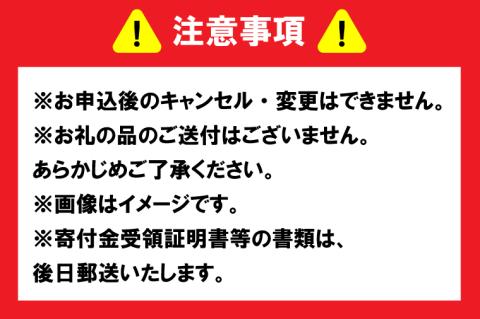 【返礼品なし】 茨城県 水戸市 ふるさと応援寄附金 ( 100,000円 )(GT-6)