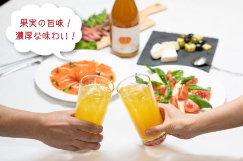 そのまんまシリーズ３種飲み比べセット（メロン・みかん・ピンクグレープフルーツ）【リキュール ジューシー 果汁 水戸市 茨城県】（DW-113）