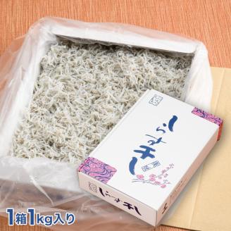 HB-1　しらす干し1kg！　冷凍　工場直送　無添加　専門店　【茨城県共通返礼品/大洗町】