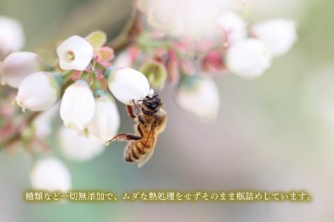 【数量限定】季節で移ろう田舎はちみつ7種ぷちギフトセット　各25g（結蜜Musubi-S7）【茨城県共通返礼品／五霞町】 生ハチミツ 非加熱 茨城県産(HO-4)