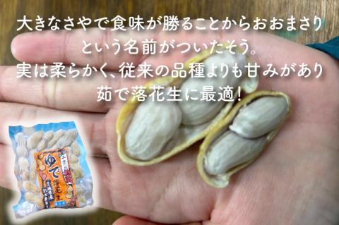 【期間限定】数量限定★秋の味覚セット★モーツァルトを聞かせた干し芋！！ 紅はるか平干し500g＆ゆで落花生（訳あり）500g【干しいも ほしいも 紅はるか さつまいも サツマイモ モーツァルト 音響熟成 熟成 落花生 ピーナッツ 訳アリ 自社農場 無添加 無着色 水戸市 水戸 茨城県】（AY-9）