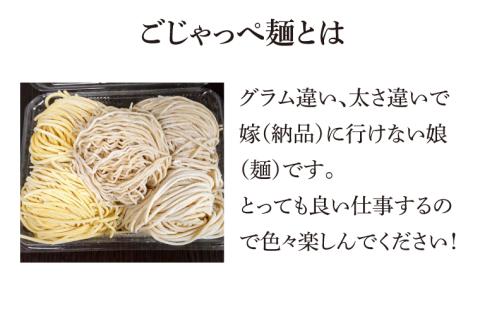 【パック詰めセット】太麺４玉入り×１パック、細麺４玉入り×１パック、中太麺２玉入り×１パック、訳ありの『ごじゃっぺ麺（様々な麺４～５玉入り）』×１パック ラーメンスープ４種付き!!(HS-1)