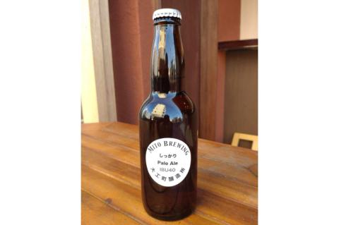 第１回水戸さきがけビジネス大賞 優秀賞受賞！【ぬりや】クラフトビール12本詰め合わせ【お酒 クラフトビール ビール ふるさと納税 水戸市 茨城県】（GW-2）