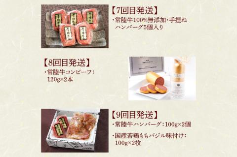 【定期便 全12回】 高級肉 常陸牛 12ヶ月 定期便 Aコース 148000円 毎月 常陸牛ハンバーグ 焼肉 すき焼き しゃぶしゃぶ コンビーフ レトルトカレー ギフト セット 肉 ギフト対応 【肉のイイジマ】（DU-111）