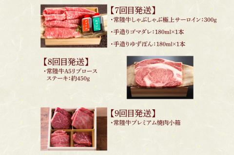 【定期便 全12回】 常陸牛 12ヶ月 定期便 Cコース 肉 常陸牛ハンバーグ 焼肉 すき焼き しゃぶしゃぶ リブロース ステーキ 常陸牛カレー レトルト ビーフ ギフト セット（DU-113）