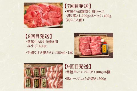 【定期便 全12回】 常陸牛 12ヶ月 定期便 Bコース 食べ物 肉 ハンバーグ 焼肉 すき焼き しゃぶしゃぶ リブロース ステーキ レトルトカレー ふるさと納税 定期便 ギフト対応（DU-112）