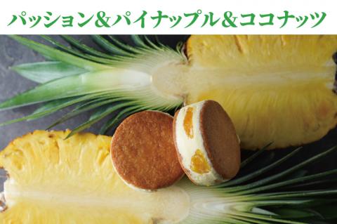 【CINARIS】バスク・バターサンド 6個入【ガトーバスク オリジナル プレミアムバターサンド デザート バニラ ヨーグルト あまおう イチゴ パッションフルーツ パイナップル ココナッツ ショコラ カカオ シャインマスカット シャンパン 塩キャラメル くるみ お取り寄せ サクサク スイーツ 水戸市 茨城県】（AC-3）