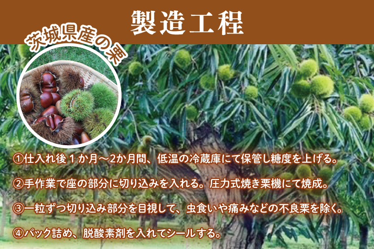 茨城県産 くりやの焼き栗 220g×3袋【くり 栗 焼き栗 秋 茨城県産 果物 果樹 栗ご飯 水戸市】（AO-1）