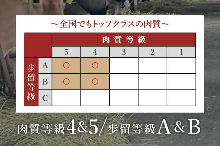 常陸牛レトルトカレー5食入り【常陸牛 黒毛和牛 国産和牛 和牛 カレー レトルト 保存食 非常食 茨城県 水戸市 水戸】（BG-129）