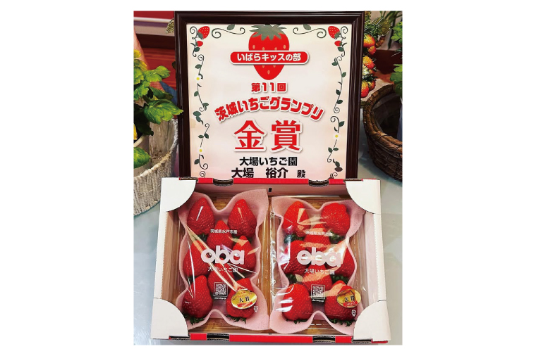 【12月中旬より順次発送】【数量限定】茨城県オリジナル品種『いばらキッス』DX300g×2パック【いちご 苺 フルーツ 果物 くだもの 水戸市 茨城県】（DO-3）