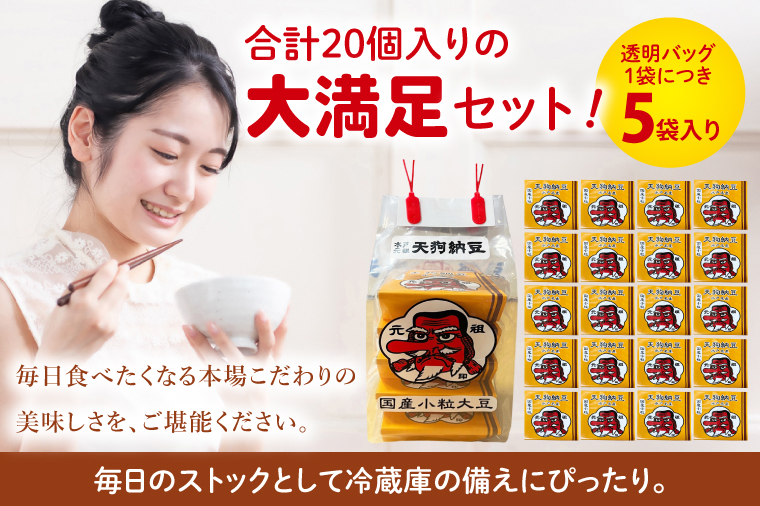 【天狗納豆】国産小粒パック納豆（50ｇ×5個）×4袋【納豆 なっとう 小粒 老舗 朝食 ご飯 ご家庭用 ギフト 贈答用 ソウルフード 水戸市 水戸 茨城県】（DQ-21）