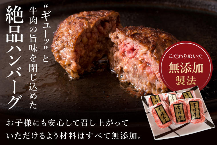 ハンバーグ 無添加 常陸牛 100% 100g 8個 セット リピーター続出！ 敬老の日 ギフト 食べ物 手捏ねハンバーグ タレ付  冷凍 小分け 焼くだけでレストランの味 茨城県 水戸市 (DU-171)