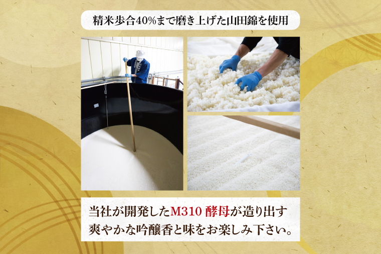 『副将軍』大吟醸 720ml×６本セット【日本酒 お酒 酒 IWC2020 金賞受賞 金賞 受賞 水戸市 茨城県】（DW-31）