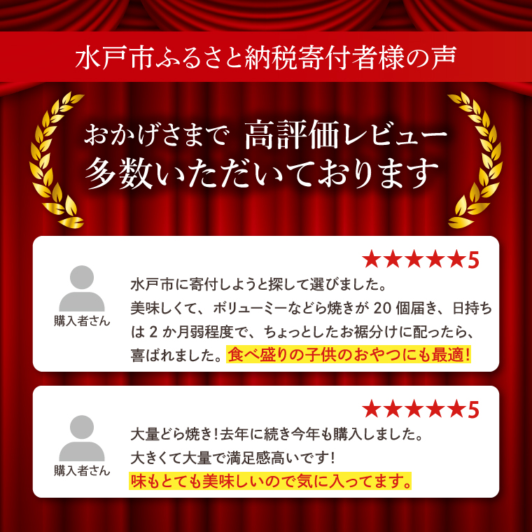 リピーター続出！ 水戸名物 ジャンボどら焼（つぶあん）20個入り 1ケース トーア乳業謹製【通販 お取り寄せ どら焼き 和菓子 個包装 スイーツ あんこ お菓子 デザート お土産 水戸市 茨城県】（DZ-2）