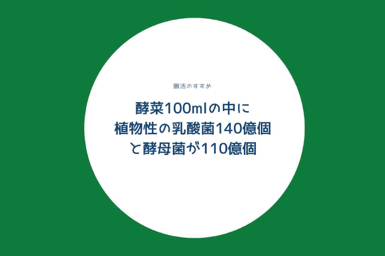 【6ヶ月定期便】非加熱生酵素『酵菜』500ml【厳選 酵素ドリンク 活性酵素 天然素材植物性乳酸菌 酵母菌 水戸市 茨城県】（EH-12）