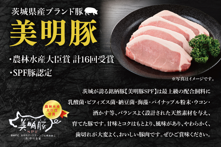 【4か月定期便】A5ランク常陸牛＆美明豚　食べ比べ　定期便コースB｜すき焼き しゃぶしゃぶ 焼肉 BBQ ステーキ 国産牛 和牛 牛肉 豚肉茨城県 水戸市  国産 老舗精肉店（EK-82）