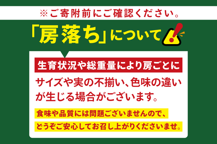 【2026年9月中旬より順次発送】令和7年度 茨城県生産力向上共励会 特別賞受賞！糖度約20～22度！美味しさにこだわったシャインマスカット（約700g）1房 化学肥料不使用 農家直送【葡萄 ぶどう マスカット フルーツ 果物 くだもの 水戸市 水戸 茨城県】（GG-21）
