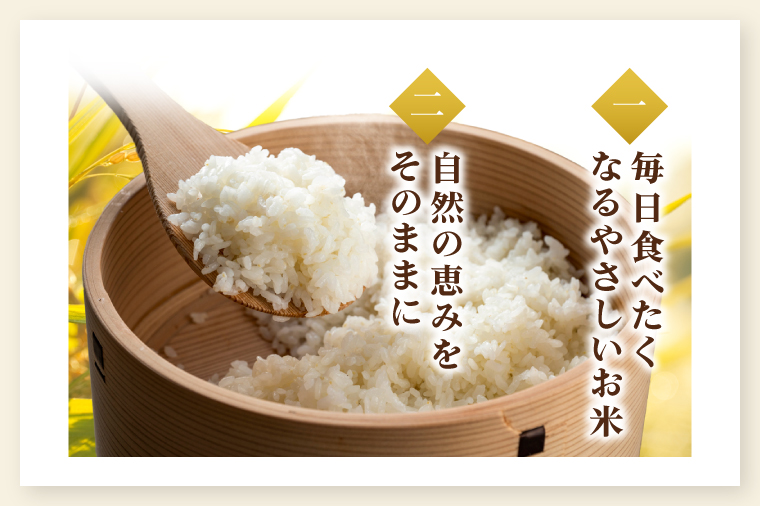 【数量限定】【令和7年産】茨城県産マンゲツモチ3㎏（茨城県共通返礼品/城里町）【お米 ごはん もち米 おいしい 餅 茨城県産 水戸市】（IH-101）