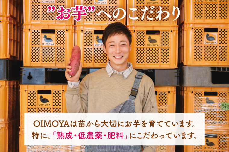 【12月より順次発送】【訳あり】 干し芋 せっこう（切り落とし）紅はるか1㎏（1箱）【干し芋 干しいも ほし芋 芋 さつまいも さつま芋 紅はるか 茨城県 水戸市 水戸 10000円以内 1万円以内】（IN-9)