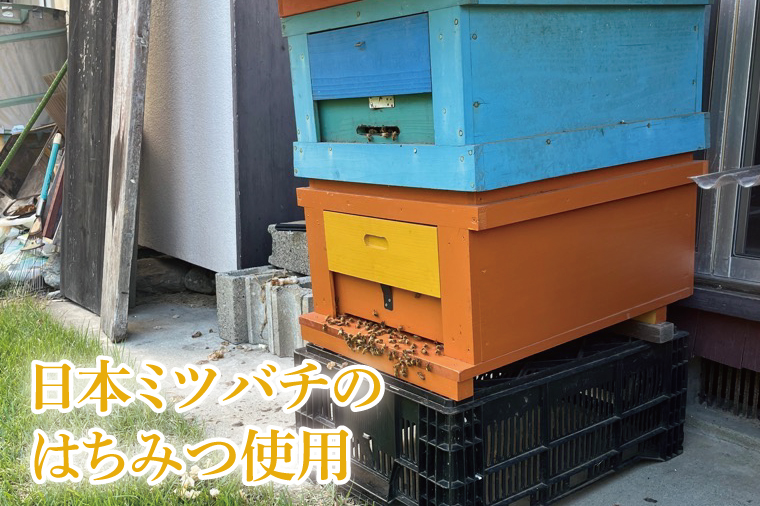 【先行予約】日本ミツバチの国産天然はちみつ 360g（180g×2本）【希少 数量限定 期間限定 ハチミツ 蜂蜜 国産ハチミツ 非加熱 天然 水戸市 茨城県】(KH-2)