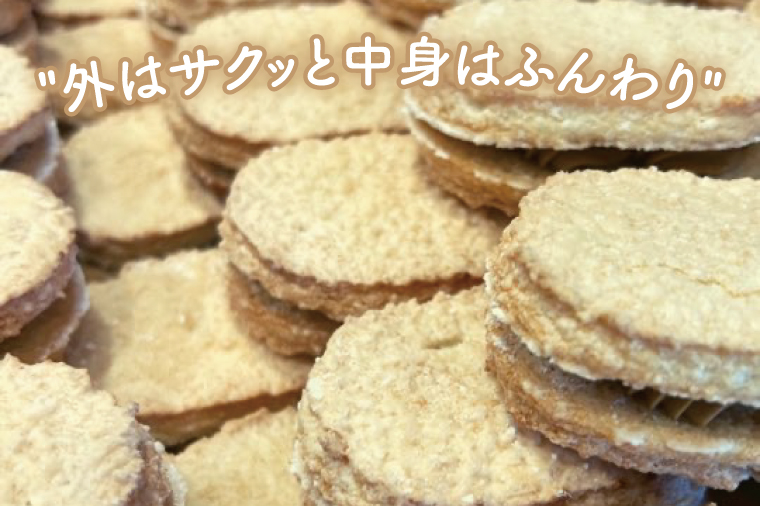 【数量限定】ハワイアンダックワーズ12個【ダックワーズ ハワイ ハワイアンソルト ライオンコーヒー リリコイ パッションフルーツ スイーツ 水戸市 茨城県 10000円以内 1万円以内】（KT-2）