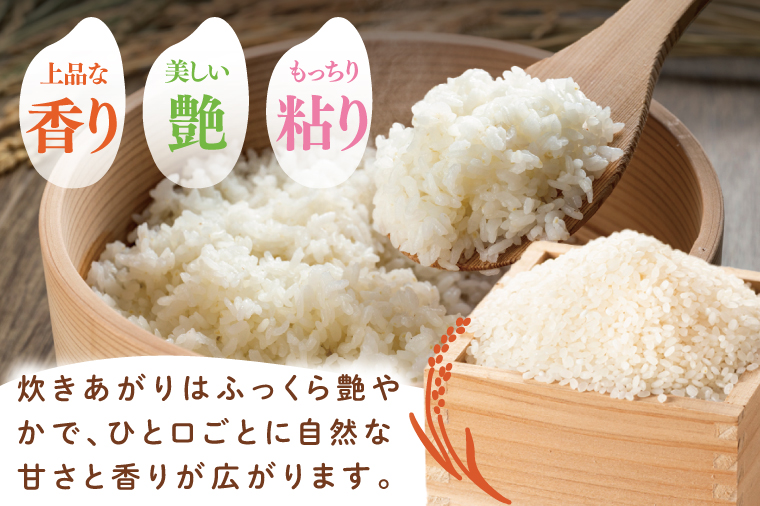 【11月下旬より発送】【数量限定】【家計応援】令和7年度産 新米 農家直送 コシヒカリ 10kg【米 こしひかり ごはん おにぎり 水戸市 水戸 茨城県 】(KV-6)